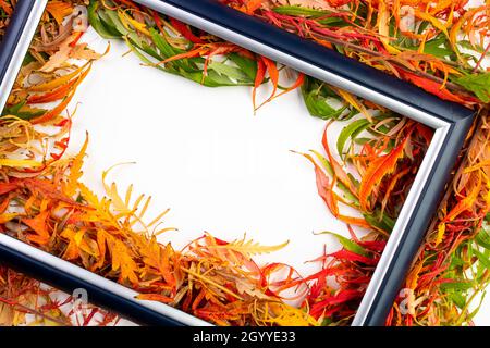 Foliage autumn frame, colorful leaves with blank background Stock Photo