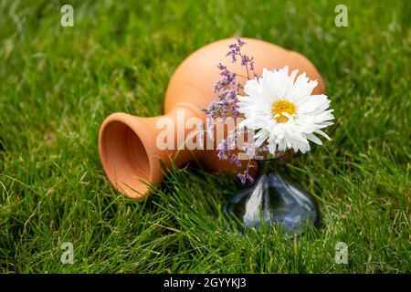 a clay jug and a vase with a flower on the green grass. Stock Photo