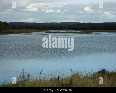 Narach / Naroch Lake (Narаchanski / Narochansky National Park, Myadzyel District, Minsk Region, Republic of Belarus) Stock Photo