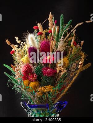 Dried flowers Stock Photo