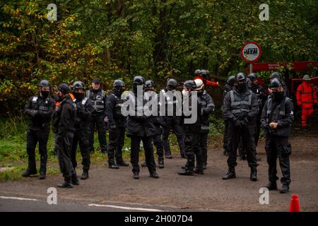 Aylesbury Vale, UK. 10th October, 2021. National Eviction Team bailiffs working for HS2 assisted by HS2 Security and Thames Valley Police were trying to evict anti HS2 protesters holed up in big woodland fortresses at the WAR Against HS2 camp this morning. The land off the A413 just outside Wendover is owned by Buckinghamshire Council but has been seized by court order by HS2 Ltd. The High Speed Rail 2 rail construction is having a devastating impact upon woodland and wildlife sites in Wendover. Credit: Maureen McLean/Alamy Live News Stock Photo