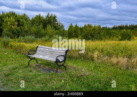 Empty wooden and wrought iron bench on a background of fields,  forests and wildflowers with a clouded blue sky..
