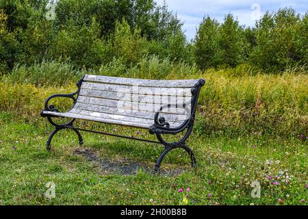 Empty wooden and wrought iron bench on a background of fields,  forests and wildflowers with a clouded blue sky..