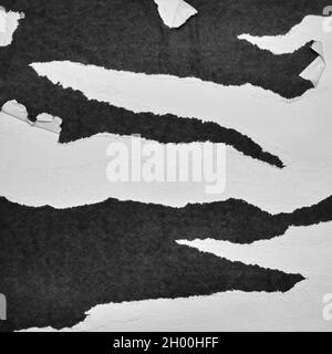 Black and White Torn Paper Collage Style, Ripped Paper Effect, Texture Abstract Background, Copy Space for Text. Stock Photo