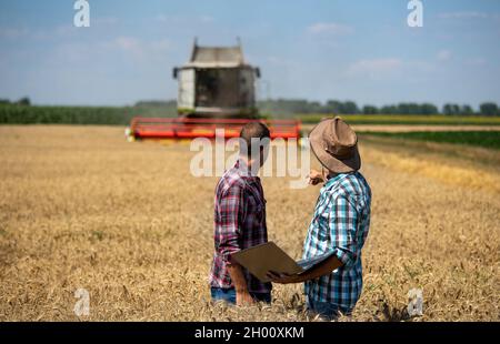 Two farmers with laptop standing in wheat field during harvest. Combine harvester working in background Stock Photo