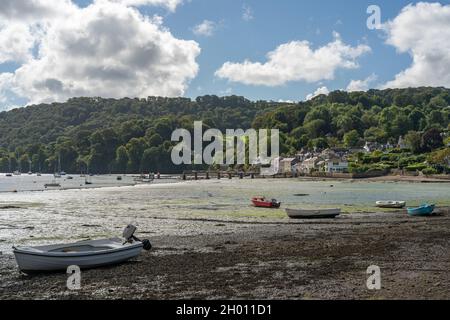 The vilage of Dittisham on the River Dart at very low tide, South Devon, South Hams, ENgland, United Kingdom Stock Photo