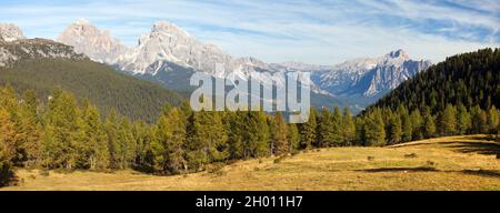 View of meadow, Larch wood, Le Tofane Gruppe and Hohe Gaisl, Dolomiti, Italy Stock Photo