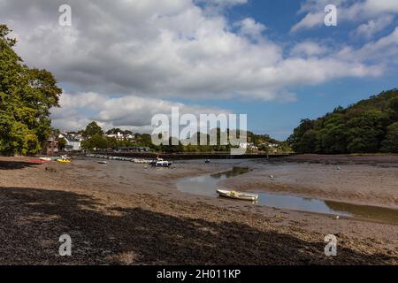 Village of Stoke Gabriel on a creek of the River Dart with large millpond, South Hams, England, United Kingdom. Stock Photo