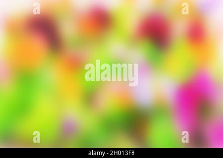 Perfect pretty multicolored mottled blurred background for crew original ideas Stock Photo