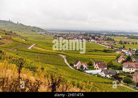 Terraced vineyards above Kaysersberg in Alsace, France, slope down toward a wine-growing village along the Route des Vins d'Alsace. A narrow path runs between the rows of vines. Stock Photo