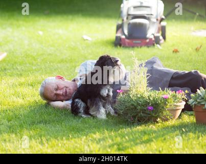 Senior man sleeping on lawn with dog beside flower pots and gardening equipment Stock Photo
