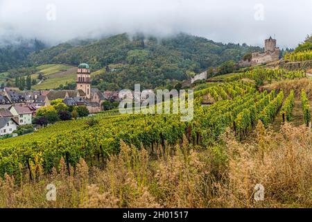 Vineyards and half-timbered houses characterize Kaysersberg in Alsace, France Stock Photo