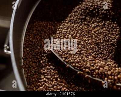 Freshly roasted coffee beans in cooling tray Stock Photo
