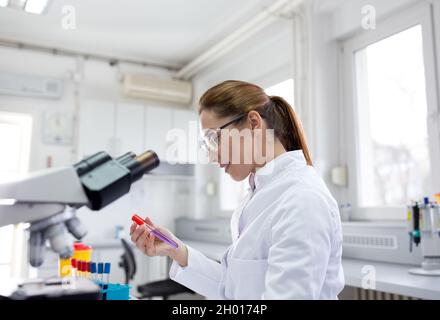 Biologist working in laboratory with samples in test tube and with microscope Stock Photo