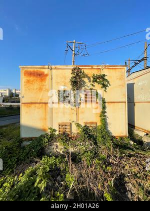 Vertical shot of rusty metal containers with wild ivy growing on under blue sky Stock Photo