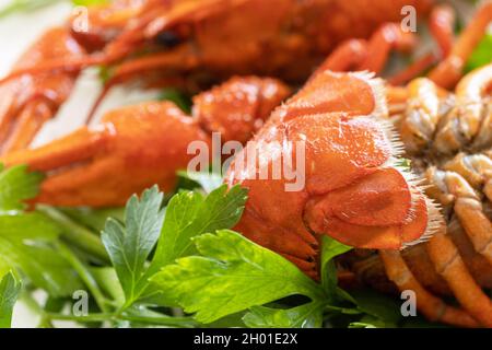 Boiled Crawfish close up and parsley leaves. Appetizer protein. Stock Photo