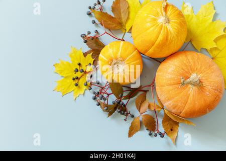 Creative minimal background. Fall, fall, thanksgiving concept. Autumn background pumpkins with autumn leaves on a blue paper background. Flat lay, top Stock Photo