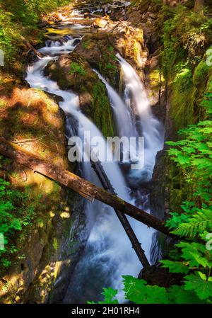Sol Duc Falls, most photogenic waterfall in Olympic National Park, Washington Stock Photo