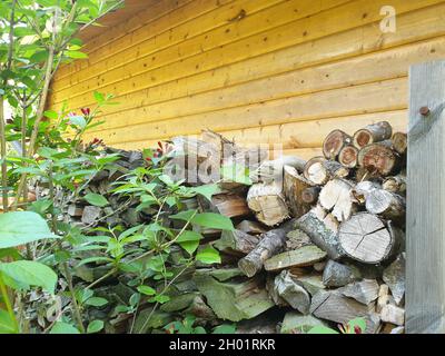 Holzscheite im Garten Stock Photo