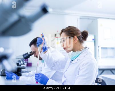 Two biologists man and woman researching samples in laboratory Stock Photo