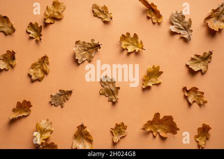 Autumn pattern made of dry oak leaves on brown background. Flat lay, top view. Stock Photo