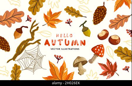 A collection of autumn natural elements with conkers and leaves. Vector illustration. Stock Vector