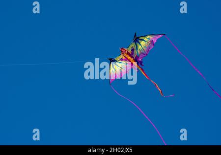 flying a dragon kite in a deep blue sky Stock Photo