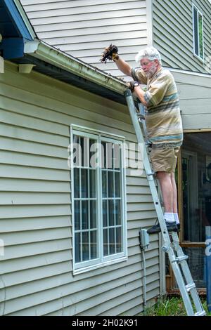 A man cleans the gutter of a drainpipe from dry leaves and debris ...