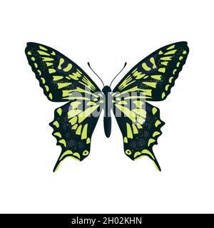 Colorful big tropical butterflie, swallowtail papilio isolated on white background. Stock Vector