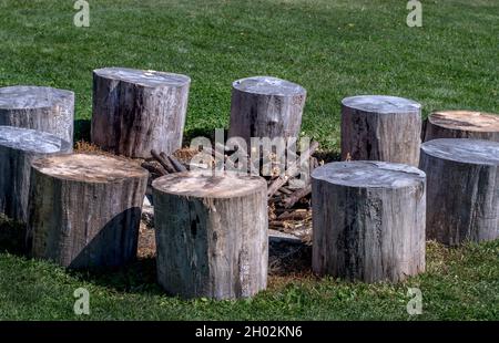 cut logs are arranged in a circle around a pile of wood, ready for a rustic country bonfire Stock Photo