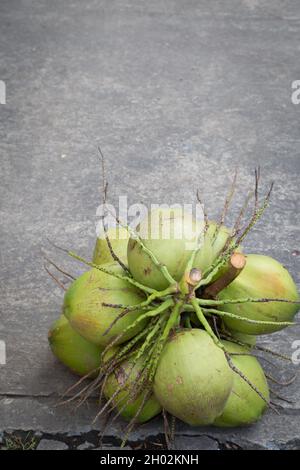 Coconut palm on the cement floor background Stock Photo