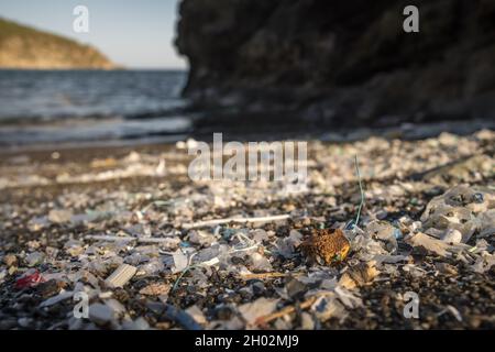 Small plastic parts and microplastics on the sand beach Stock Photo