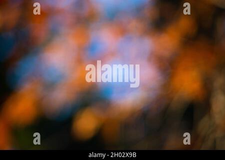 abstract color defocused spots for background Stock Photo