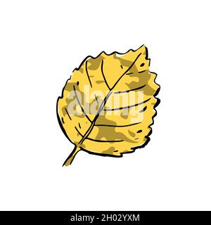 Autumn sketch yellow Birch leaf. Hand-drawn color textured herb on white background. Doodle dried plant. Nature, forest, ikebana, fall sign. Carved in Stock Vector