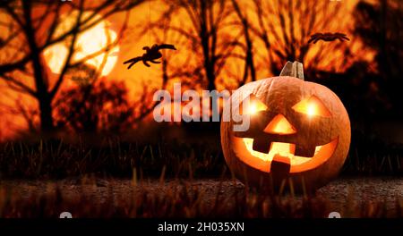 Halloween with carved and illuminated pumpkin with spiders in darkness in the forest at dusk. Front view. Horizontal composition. Stock Photo