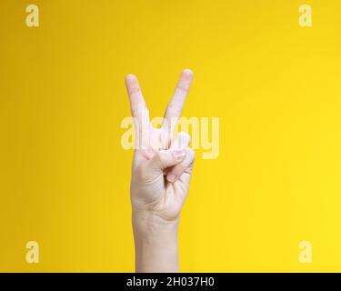 Hand gesture, greeting signs with palm waving hi and fists raised up ...