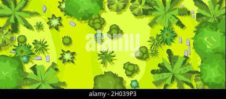 Hilly lawn in the forest. View from above. Rajnforest. Countryside rural landscape. Green foliage of trees and shrubs. Top view. Background illustrati Stock Vector