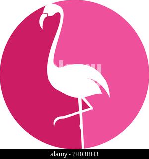 Flamingo logo ilustration vector template Stock Vector