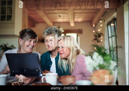 Happy senior friends women having fun and using laptop indoors at home, coffee time. Stock Photo