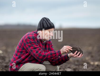 Mature farmer holding clod of earth in hands and examining soil quality in winter time in field Stock Photo