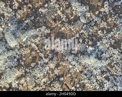 Pieces of broken tempered glass lying on paving slabs closeup background Stock Photo