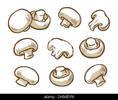 Autocollant champignon champignon sur fond blanc Image Vectorielle Stock -  Alamy