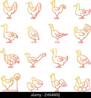 Farm birds for poultry gradient icons set for dark and light mode Stock ...