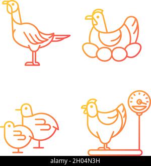 Domestic hens gradient linear vector icons set Stock Vector