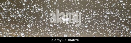Panoramic photo background of air bubbles on the water surface. Close-up shot of air bubbles in liquid. Selective focus. Stock Photo