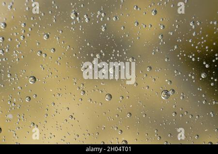 Background of air bubbles on the water surface. Close-up shot of air bubbles in liquid. Selective focus. Extreme close-up images of water bubbles Stock Photo