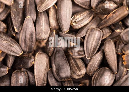 Fried black sunflower seeds scattered on the table, close-up, selective focus Stock Photo