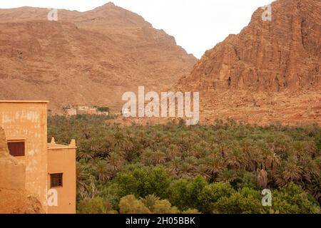 Sahara Desert Oasis and Landscape Photographed in Morocco Stock Photo