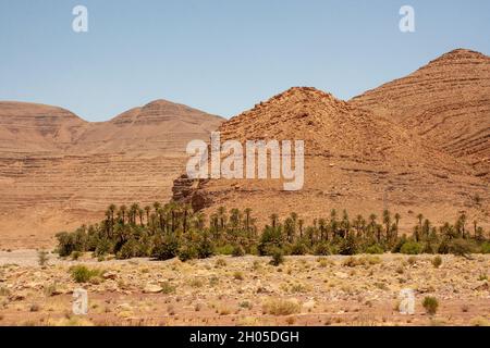 Sahara Desert Oasis and Landscape Photographed in Morocco Stock Photo