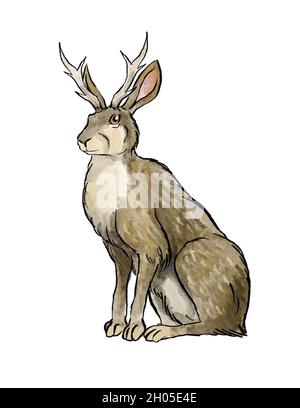 a jackalope hand drawn illustration Stock Photo